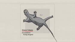 Discovering the flying dragons of Southeast Asia Instructional Video