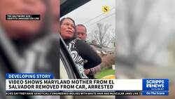 Video shows immigration authorities break glass, forcibly remove woman from car News Clip