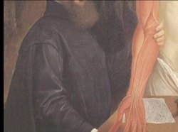 Early Scientific Revolution - Andreas Versalius Instructional Video