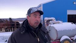 Birdtail Sioux First Nation welcomes bison from Sioux Valley News Clip