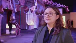 Titanosaur unveiled art Natural History Museum for first time News Clip