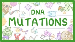 GCSE Biology - What are DNA Mutations? #67 Instructional Video