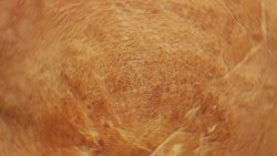 The Skidi Star Chart: Native American Horoscope Par Excellence Instructional Video