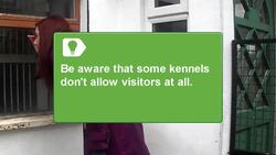 How to Find a Kennel Instructional Video