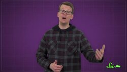 Warding Off Murder Hornets with... Poop? Instructional Video