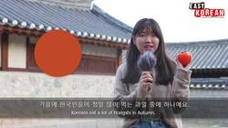 8 Colors of Fruits and Vegetables in Korean | Super Easy Korean 12 Instructional Video