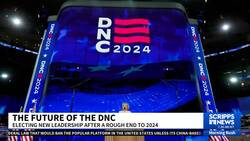 School shooting survivor David Hogg says he will run to be a vice chair of the DNC News Clip