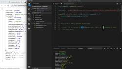 Customizing HTTP Requests Instructional Video