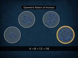 Population Growth Instructional Video