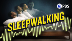 Sleepwalking: When Good Sleep Goes Bad Instructional Video