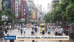 Where to Find Opportunities in China Stocks? News Clip