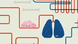 TED-Ed: What causes panic attacks, and how can you prevent them? | Cindy J. Aaronson Instructional Video