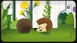 Hedgie Selfie Instructional Video