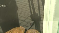 Prague zoo opens animal excrement exhibition News Clip