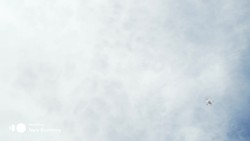 Drone Swarms and Gene-Altered Corals Fight Climate Change News Clip