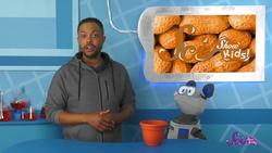 Amazing Scientist Story Time! | SciShow Kids Compilation Instructional Video