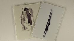 TED-Ed: How to see more and care less: The art of Georgia O'Keeffe | Iseult Gillespie Instructional Video