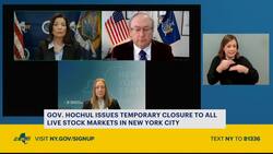 Bird flu has made its way to Brooklyn News Clip