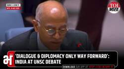 ‘Human Suffering Must Not Be...’: India at UNSC Calls for Ceasefire, Humanitarian Relief in Gaza News Clip