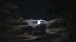 Full moon Stock Footage