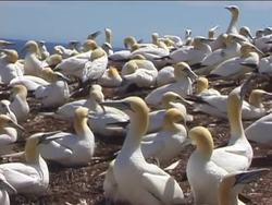 Evidence of Change Review Instructional Video