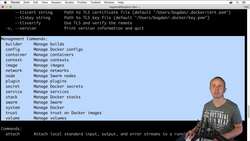 The Complete Practical Docker Guide - Docker Commands Versus Management Commands Instructional Video