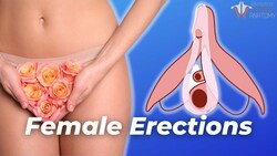How a Female Erection Works Instructional Video