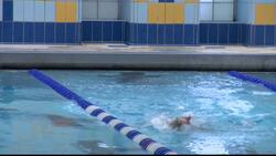Stamford native will coach Darien swimmer who lost part of leg during shark attack at Paralympic Games in Paris Instructional Video
