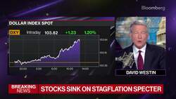 Hutchison Says Sweden, Finland Have 'Capable' Militaries News Clip