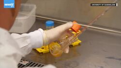 Possible Coronavirus Treatments Include Cloned Antibodies, Vaccines News Clip