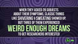 What Are Fever Dreams? Instructional Video