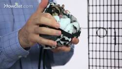 What Are the Best Sugar Glider Accessories? Instructional Video