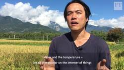Blockchain helps Taiwan's rice farmers mitigate effects of climate change Instructional Video