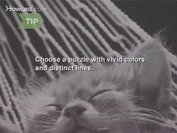 How to Solve a Jigsaw Puzzle Instructional Video