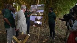 RWANDA: Prince of Wales visits the ARCOS agroforestry site. News Clip