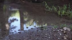 Mountain River streaming, Transparent Water and stones Stock Footage
