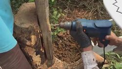 Worker using electric drill machine drills a hole wooden electric pole Stock Footage