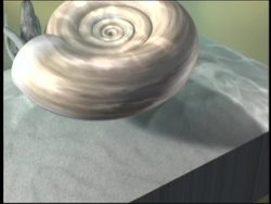 Review of Fossils Instructional Video