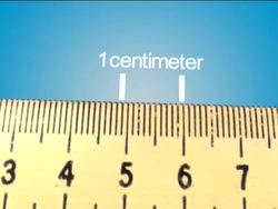 Introduction to the Metric System: the Metric System Instructional Video
