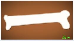 Bones Began as Mineral Batteries Instructional Video