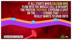 Why Doesn't Your Sphincter Get Tired? Instructional Video