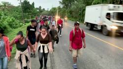 Honduran migrants stopped in Guatemala News Clip