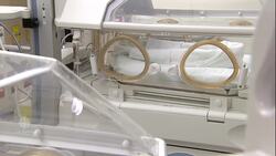 'Birth tourism' is fraudulent: former top immigration official News Clip