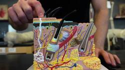 The Science of Sweat: Types, Functions, and Athletic Performance Instructional Video