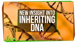 You Can Inherit Mitochondrial DNA from Both Parents! | SciShow News Instructional Video