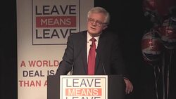 David Davis: Disrespect May, you disrespect the UK Stock Footage