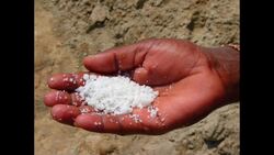 Case Study The Toyota Way Instructional Video