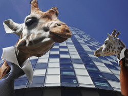 Finding Joy in the Simple Things Instructional Video