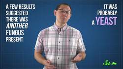 Symbioses Are Way More Complex Than You Think! Instructional Video