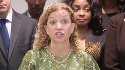 Rep. Schultz pushes for background checks for guns News Clip